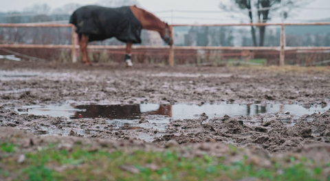 Extreme Rainfall in Portugal: Why Dry Zones Matter More Than Ever for Horse Health