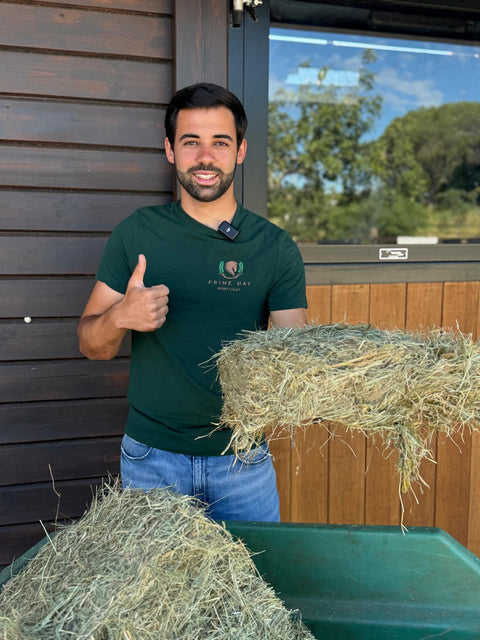 Prime Hay Continues to Grow — Now Also Active in Cascais &  Sintra