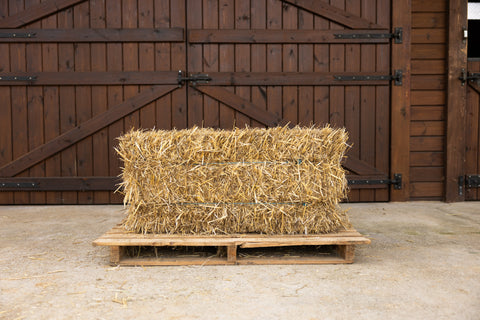 Straw