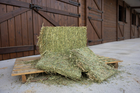 Small Bales Longchamp®