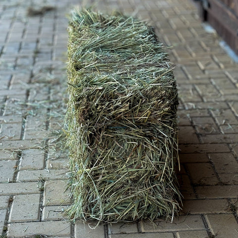 Fardos Pequeños Mezcla Natural de Ryegrass