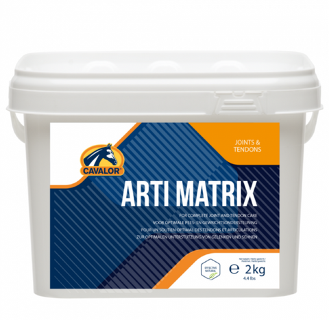 Matriz Arti