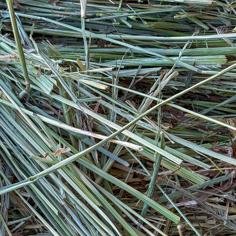 Fardos Pequeños Mezcla Natural de Ryegrass