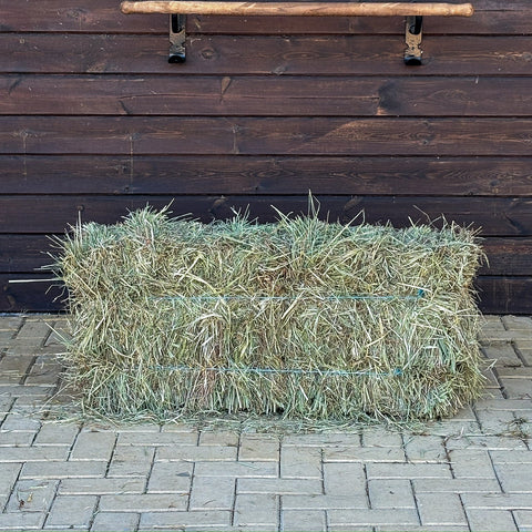 Fardos Pequeños Mezcla Natural de Ryegrass