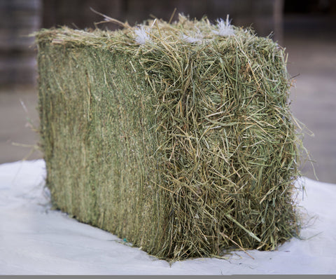 Small Bales Meadow Hay
