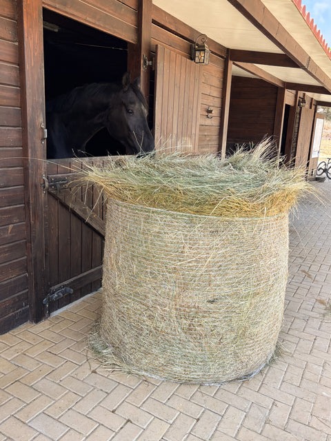 Round Bales Meadow Hay & Ryegrass Mix
