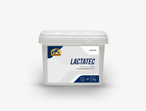 Cavalor LactaTec 2 kg bucket