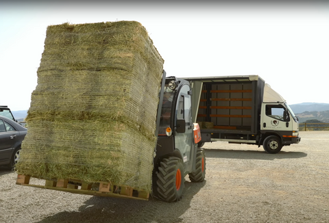 Small Bales Meadow Hay