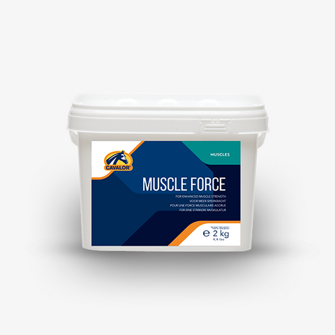 Muscle support