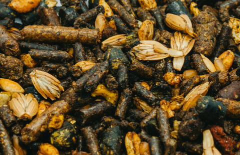 Horse Food
