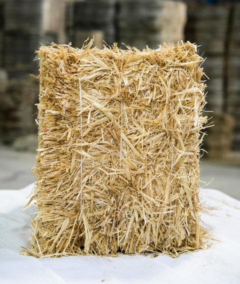 Pacas Pequeñas de Paja de Trigo