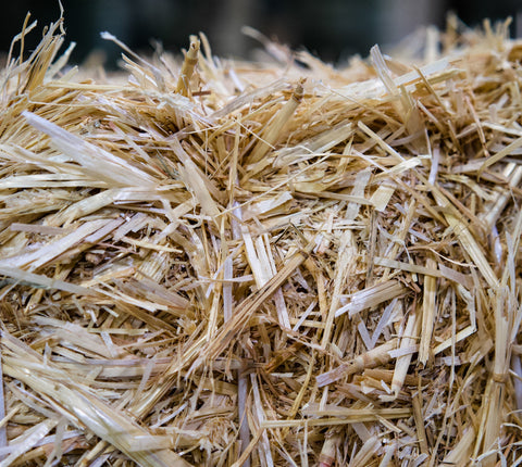 Pacas Pequeñas de Paja de Trigo