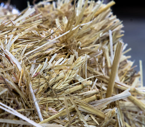 Pacas Pequeñas de Paja de Trigo