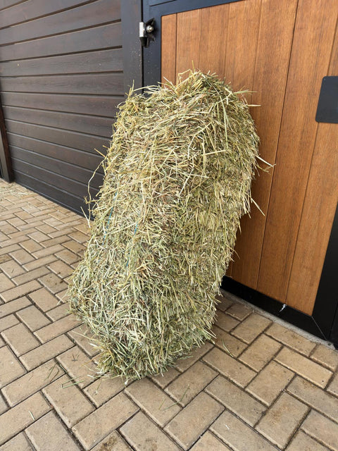 Small bale of Portuguese ryegrass hay standing upright at a stable door