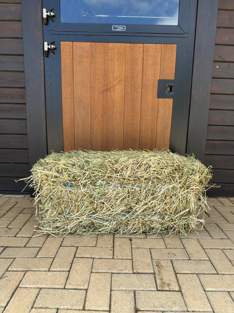 Small bale of Portuguese ryegrass hay in front of a stable door