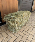Small bale of Portuguese ryegrass hay by a stable door, seen from the side