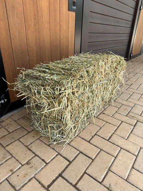 Small bale of Portuguese ryegrass hay by a stable door, seen from the side