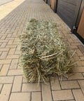 Small bale of Portuguese ryegrass hay lying on the stable yard