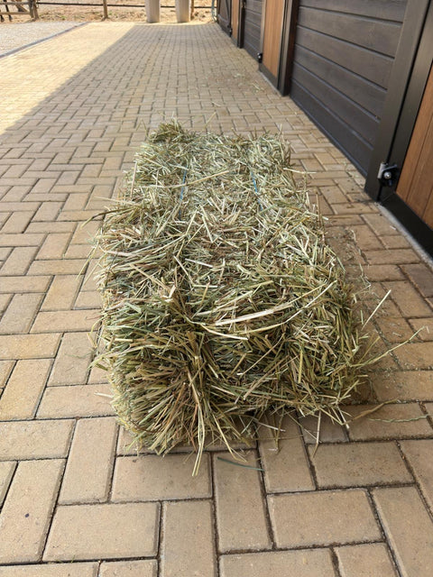 Small bale of Portuguese ryegrass hay lying on the stable yard