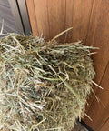 Close-up of the green ryegrass stems at the top of a small bale