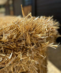 Close-up of the straw: long, hollow, bright golden stems
